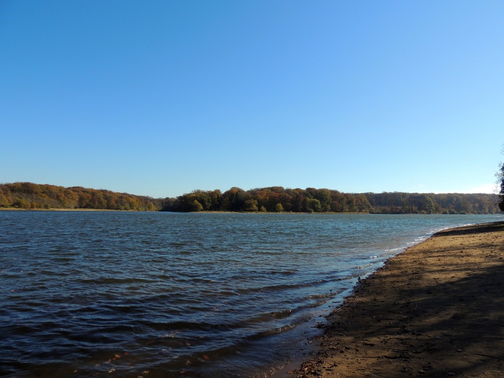 Etang du Pirot 29