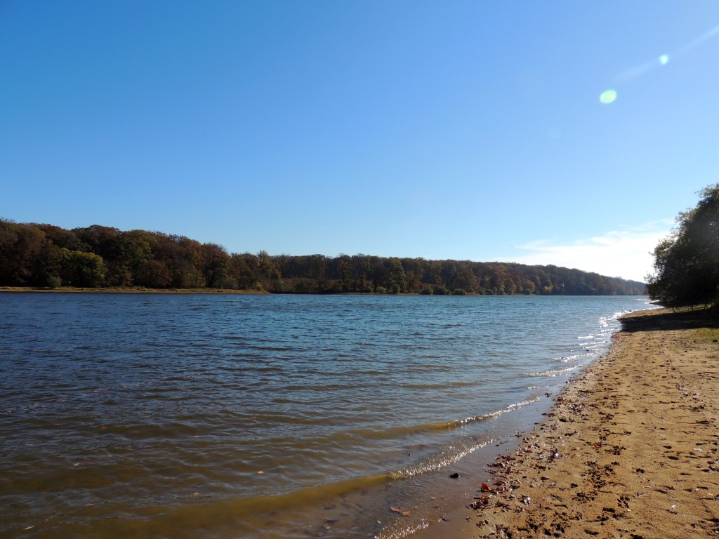 Etang du Pirot 39