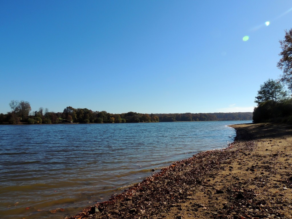 Etang du Pirot 4