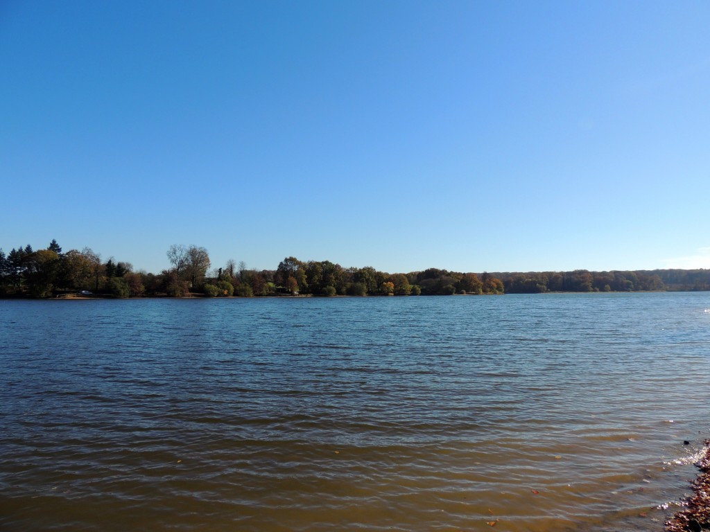 Etang du Pirot 5
