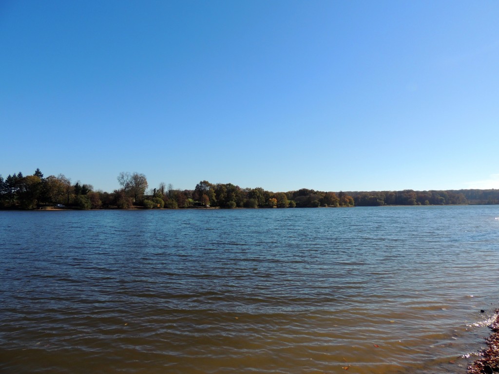 Etang du Pirot 5