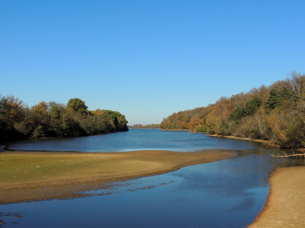 Etang du Pirot 50