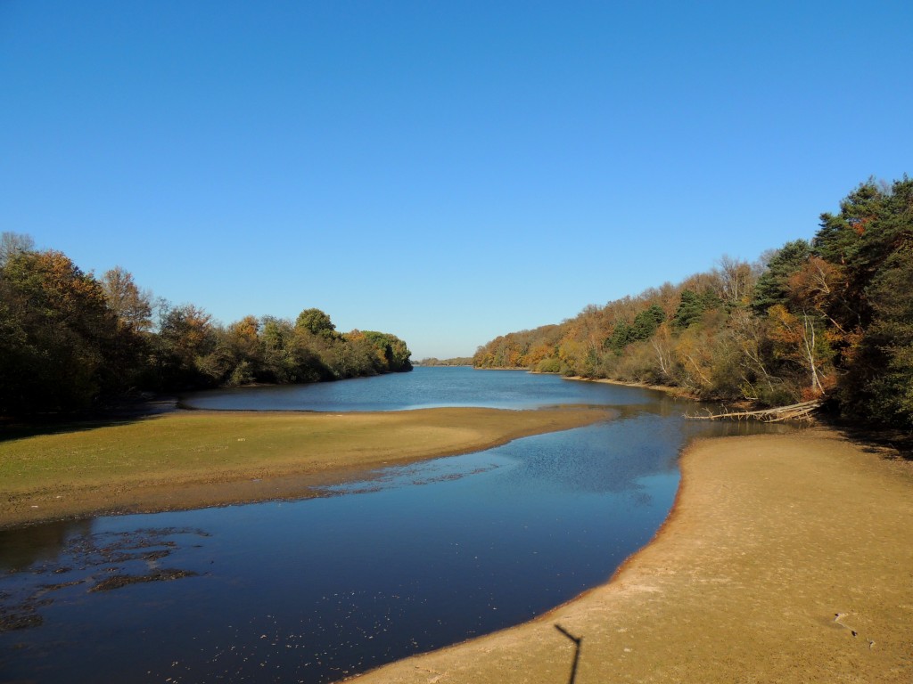 Etang du Pirot 51