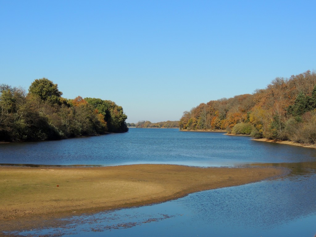 Etang du Pirot 52