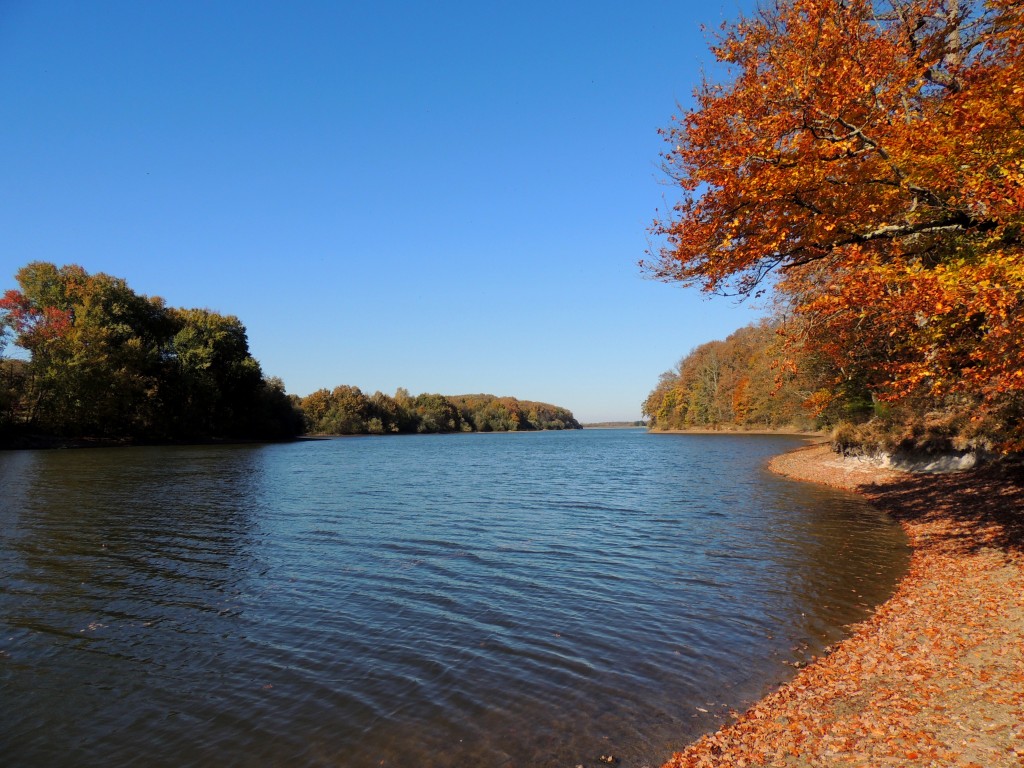 Etang du Pirot 54