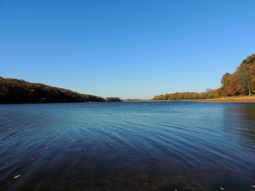 Etang du Pirot 60