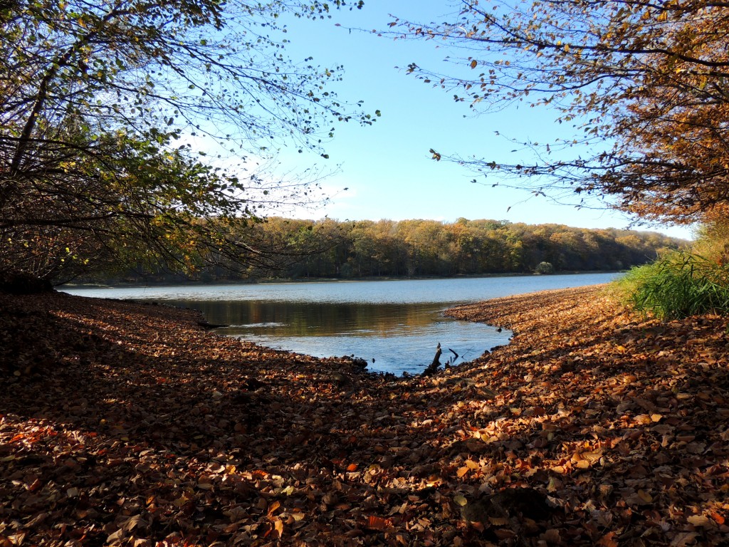 Etang du Pirot 63