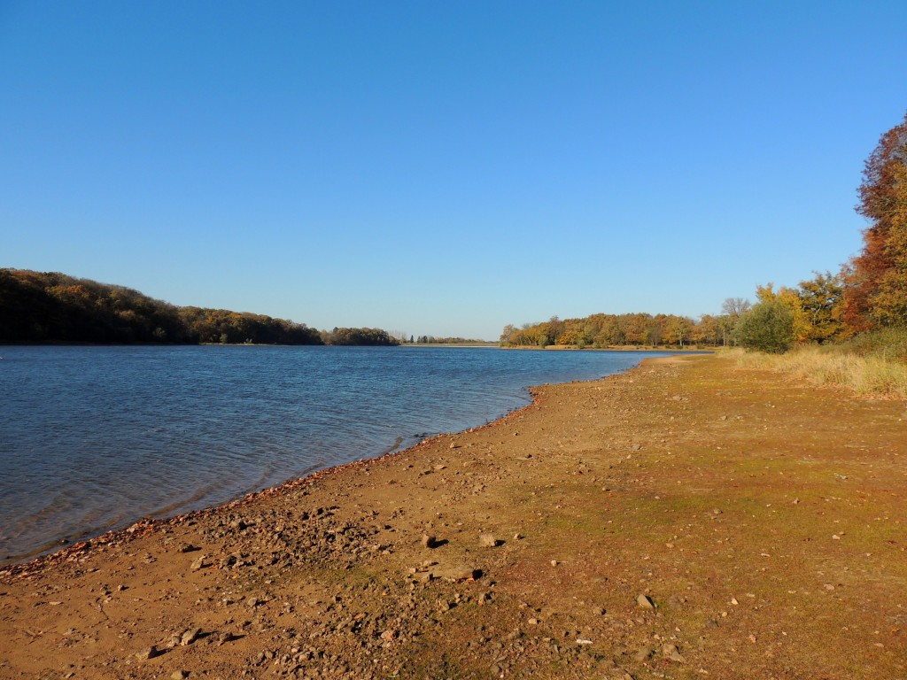 Etang du Pirot 66