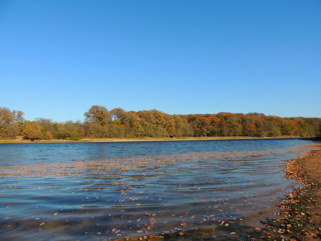 Etang du Pirot 71