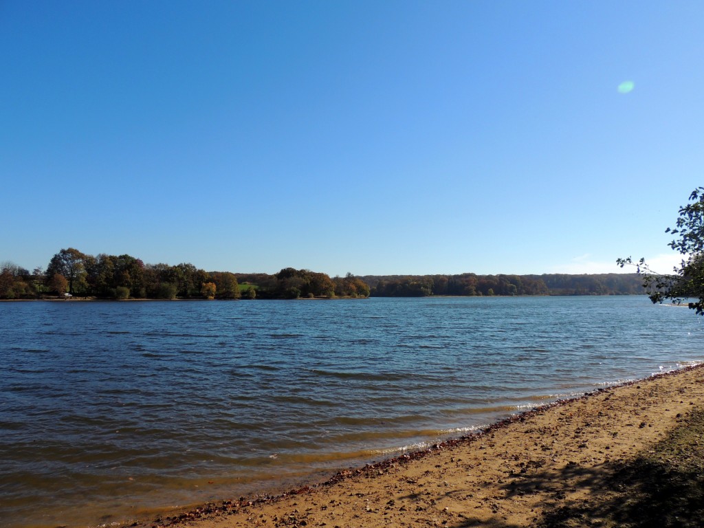 Etang du Pirot 8