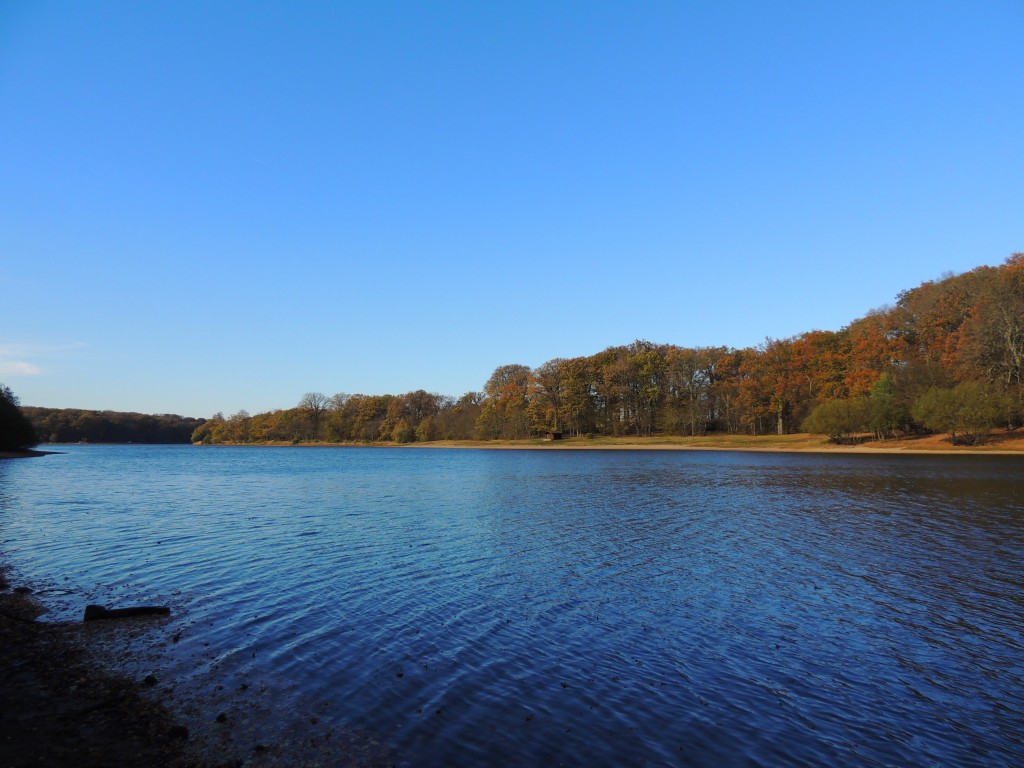 Etang du Pirot 80