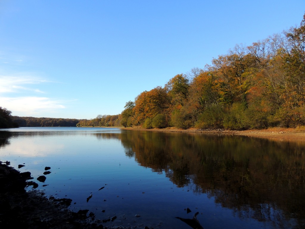 Etang du Pirot 82