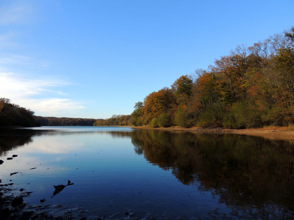 Etang du Pirot 83