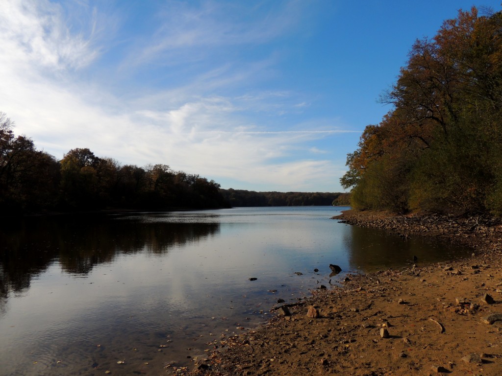 Etang du Pirot 85