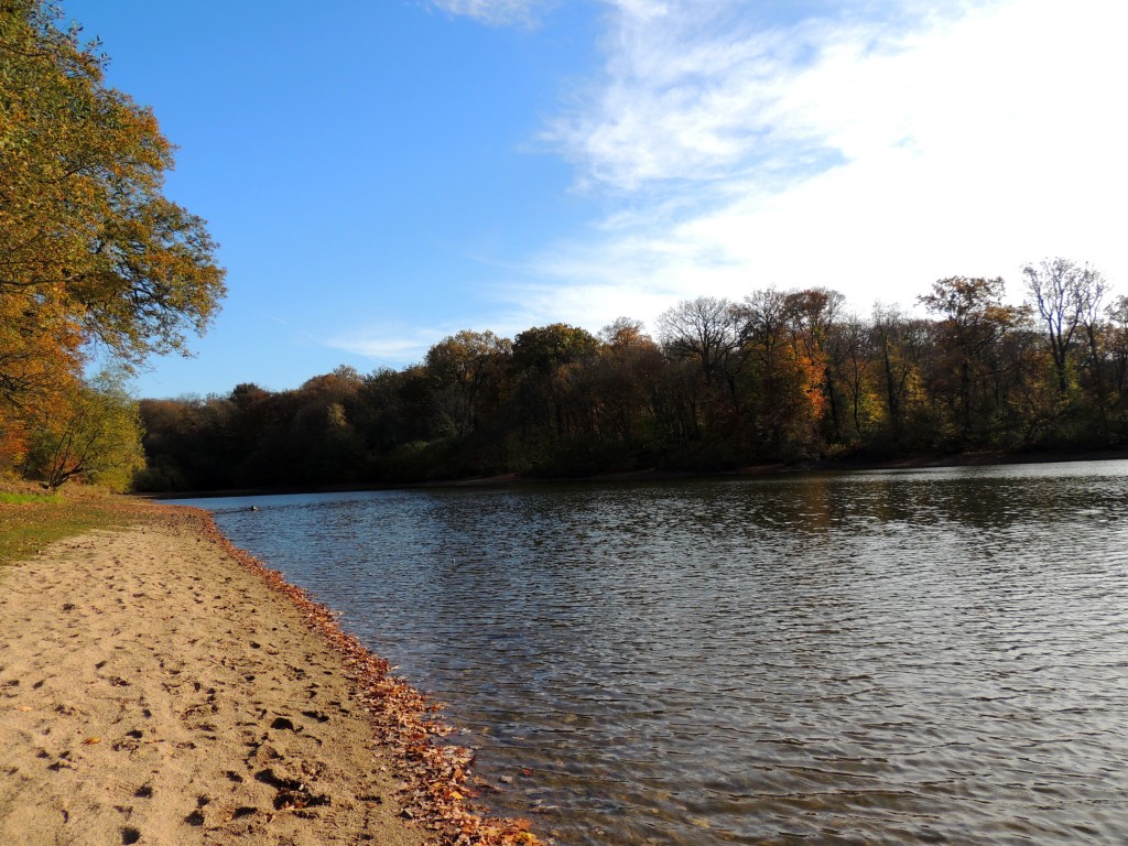 Etang du Pirot 87