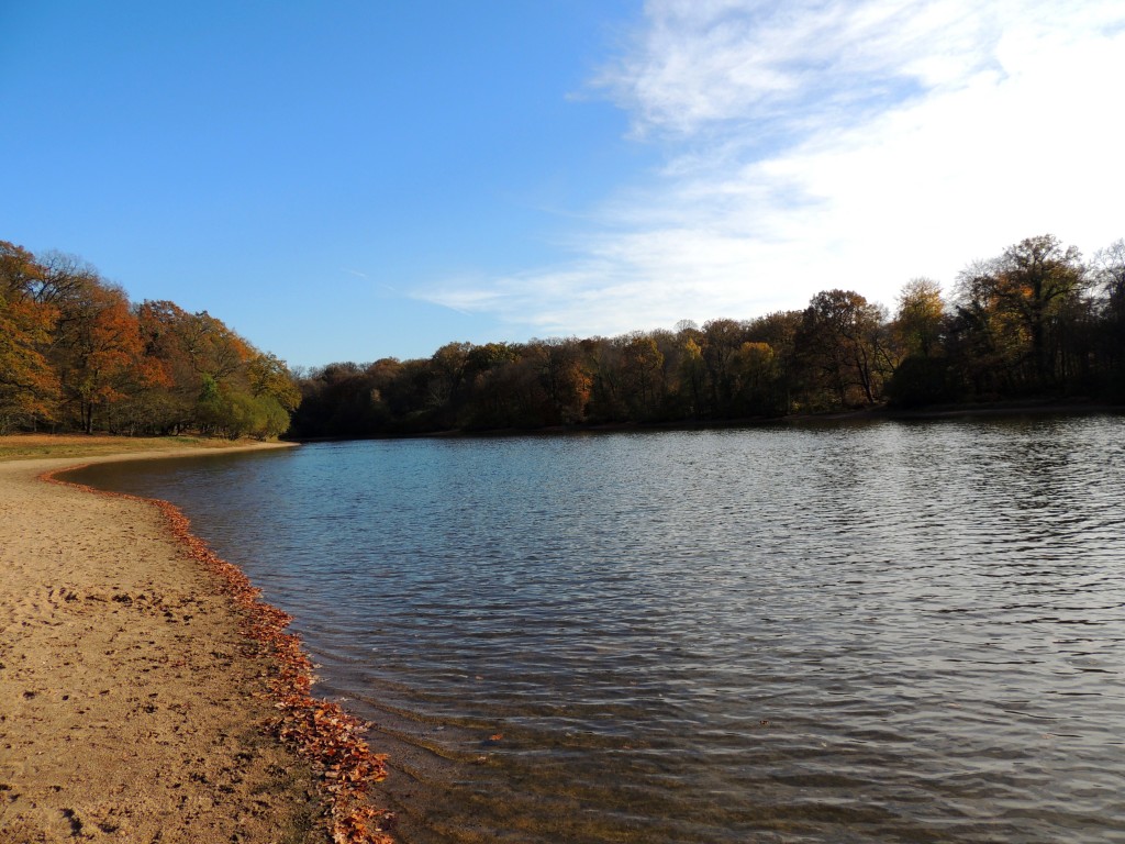 Etang du Pirot 91