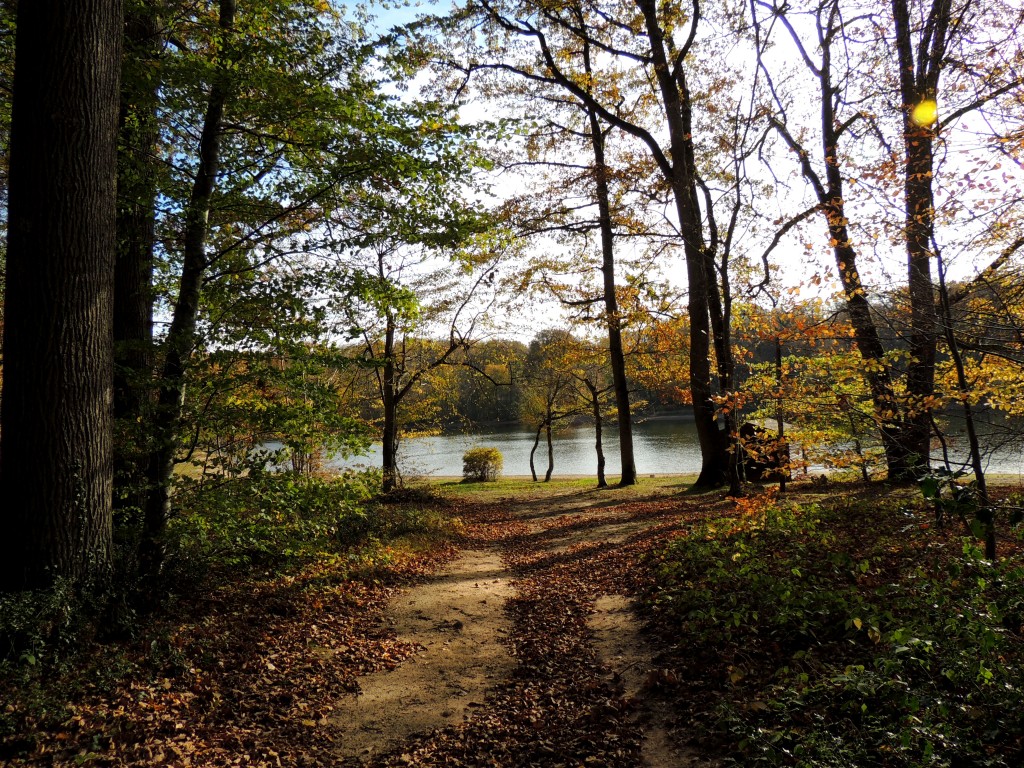 Etang du Pirot 92