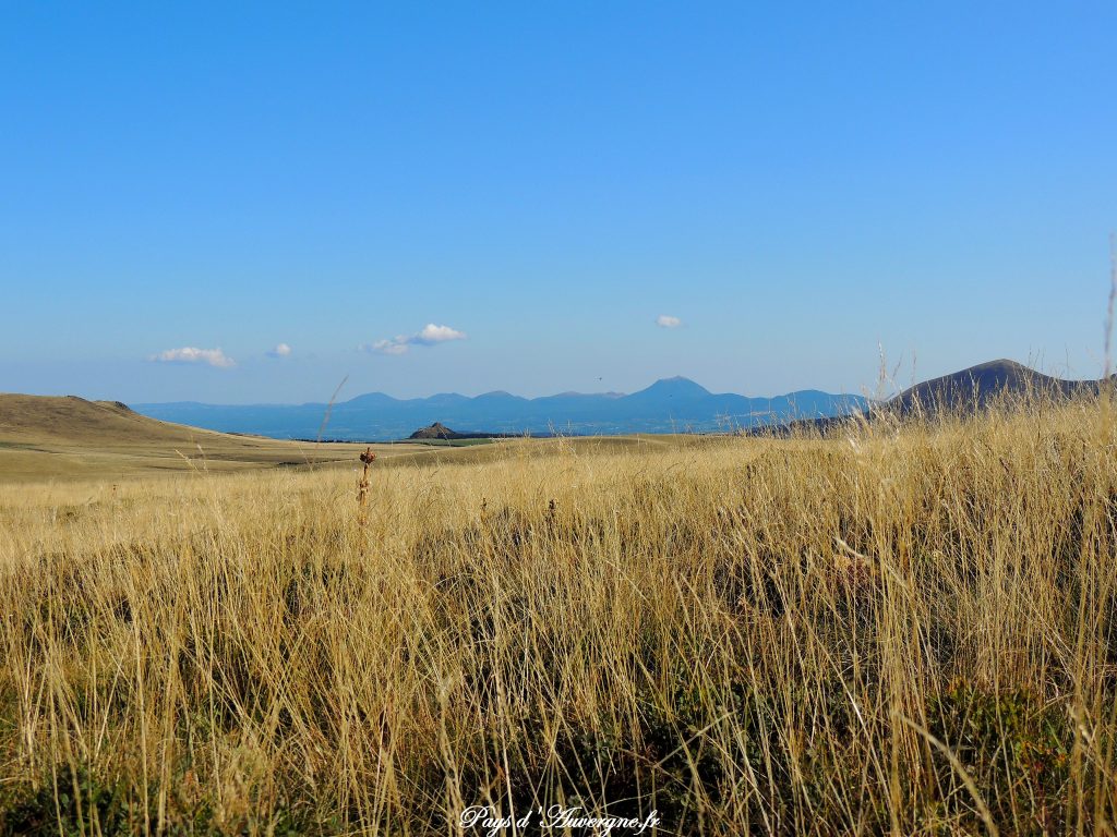 Puy Gros - 35