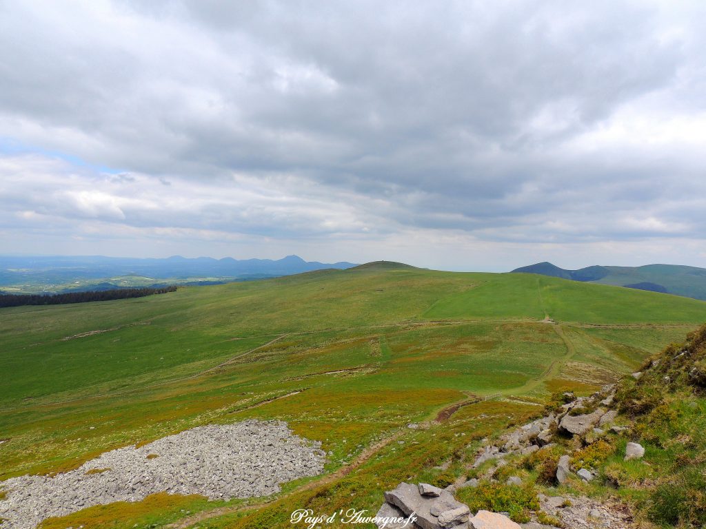 Puy Loup - 1