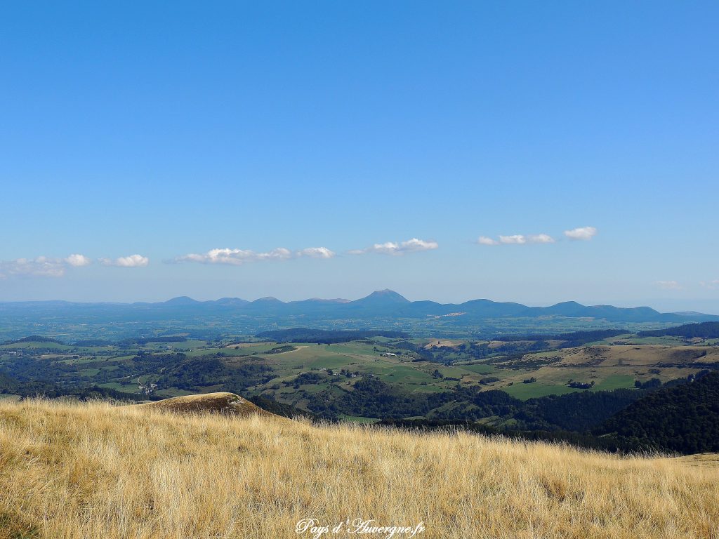 Puy Loup - 10