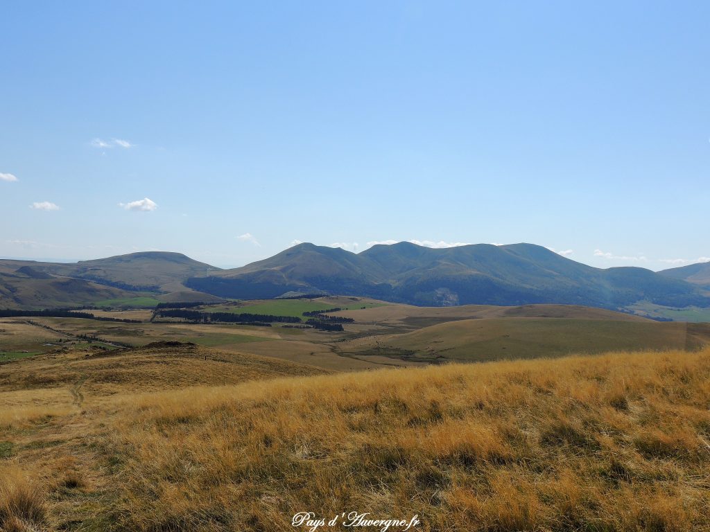 Puy Loup - 11