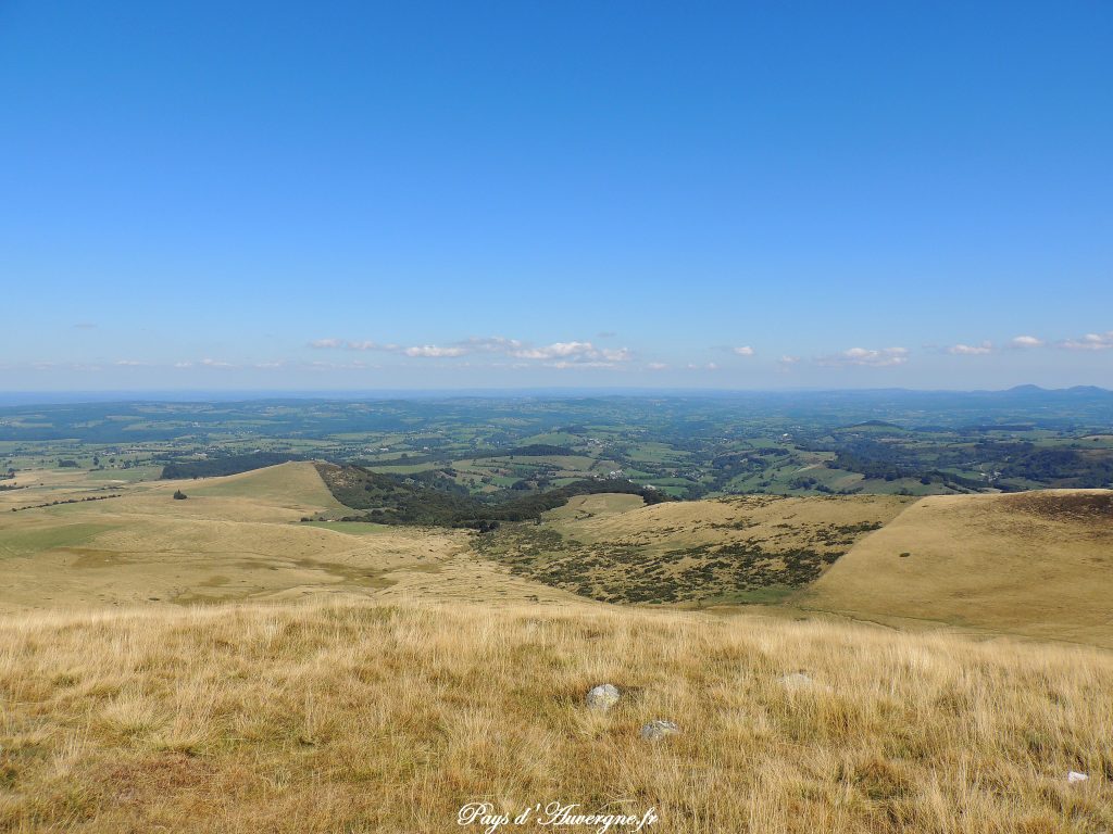 Puy Loup - 12