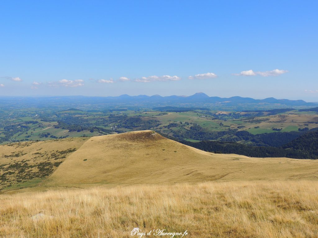 Puy Loup - 13