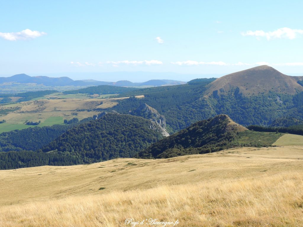 Puy Loup - 14