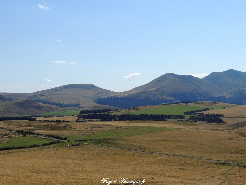 Puy Loup - 15