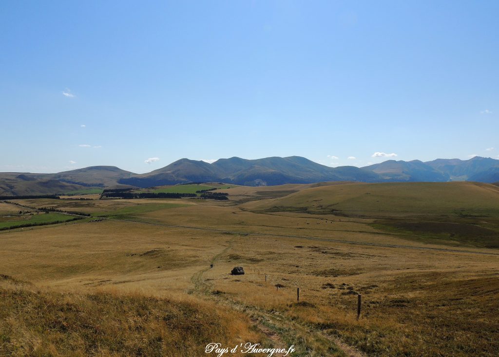 Puy Loup - 16