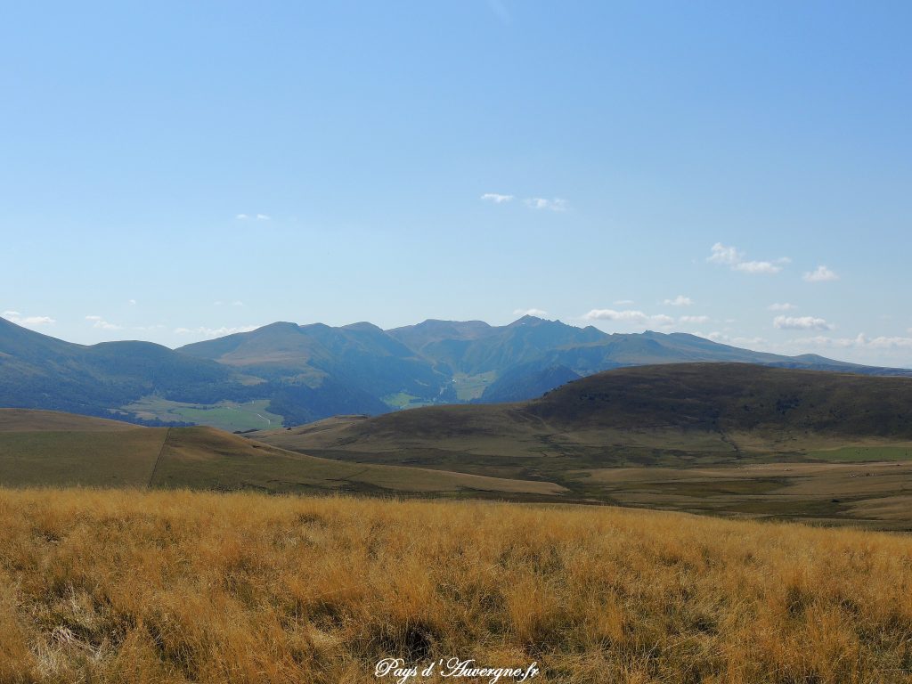 Puy Loup - 4