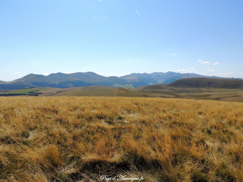 Puy Loup - 5