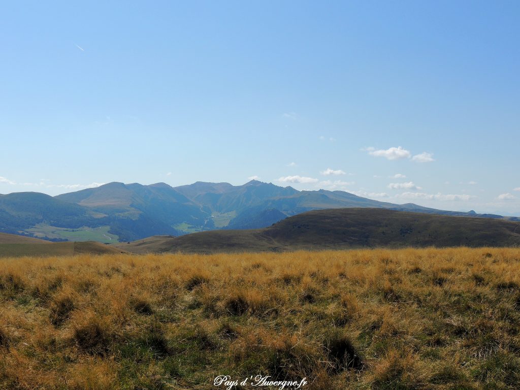 Puy Loup - 8