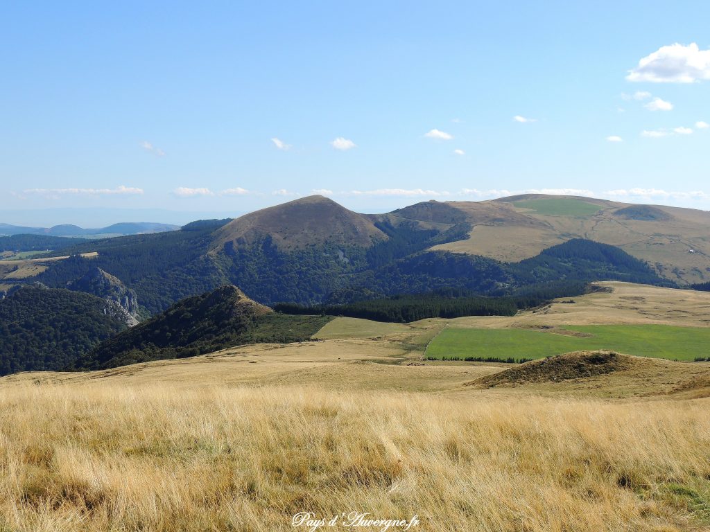 Puy Loup - 9