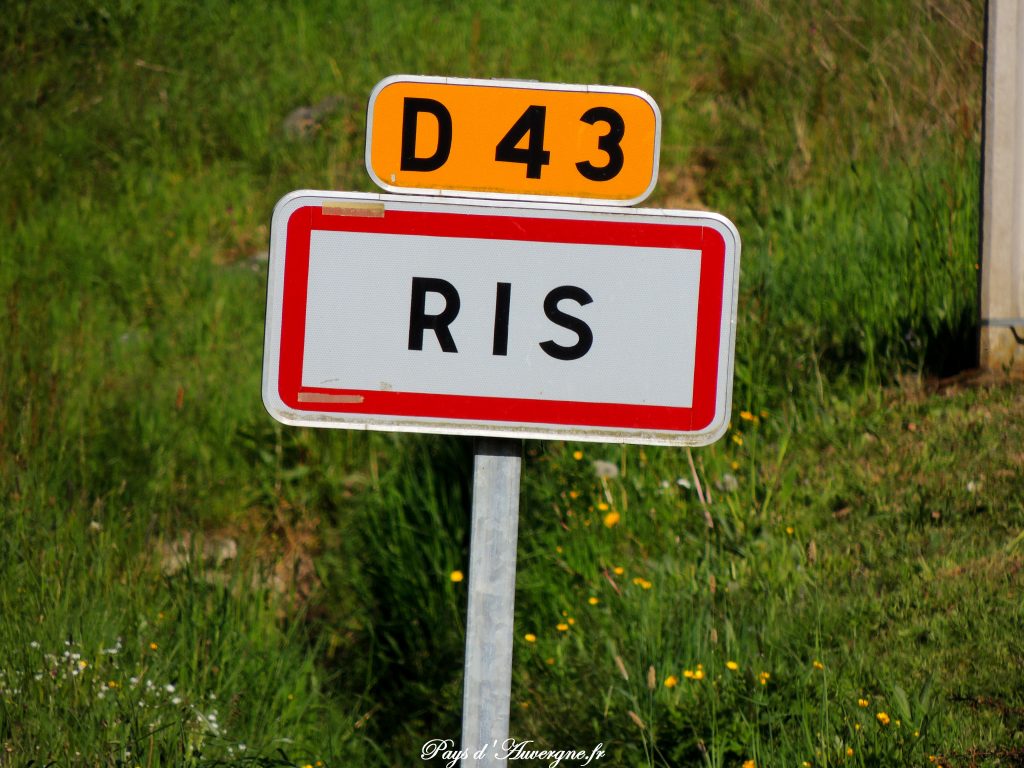 Ris 83