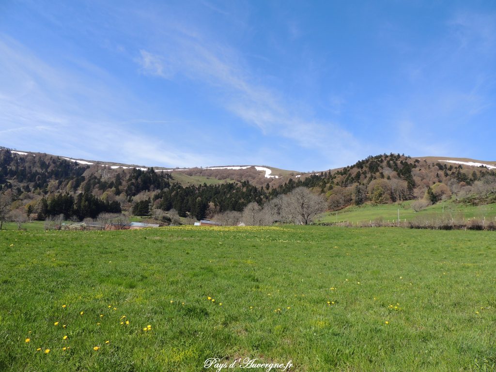 vallée de l'Artoux 10