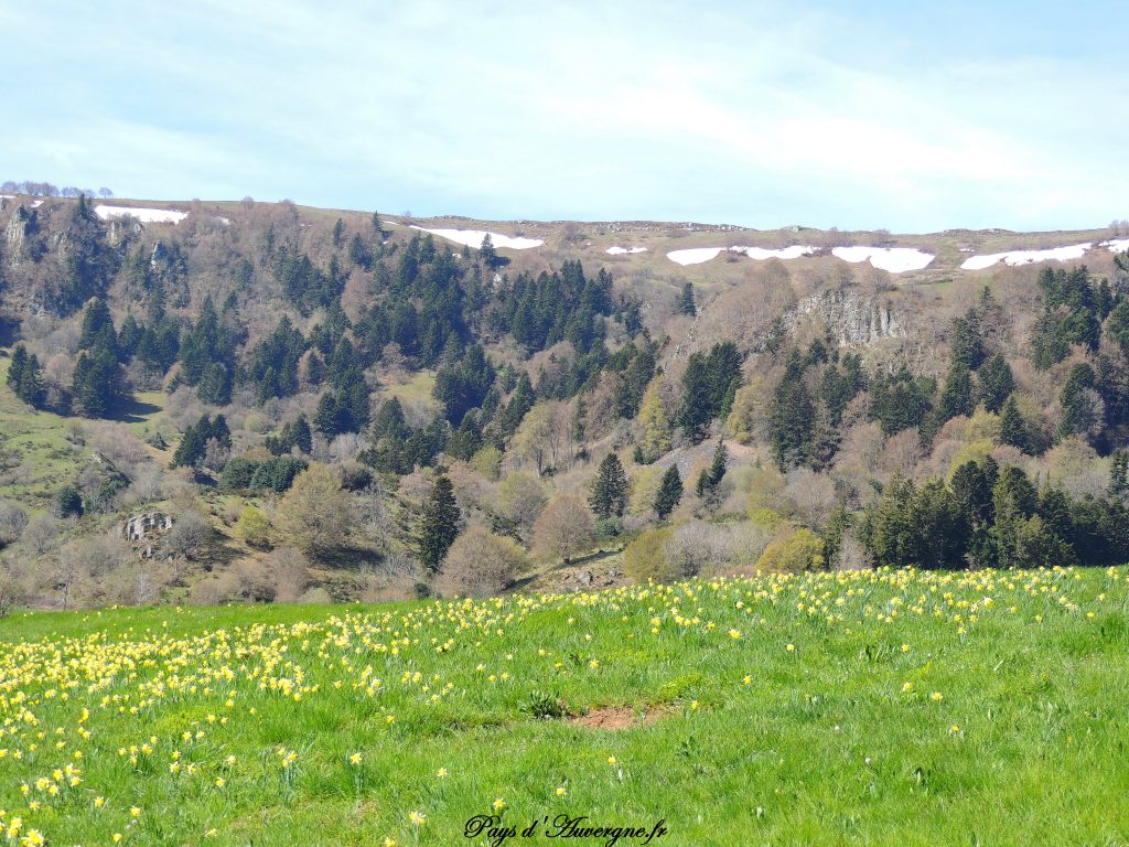 vallée de l'Artoux 12