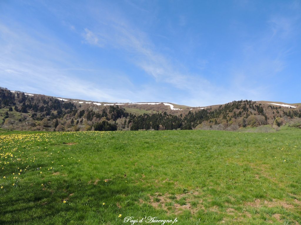 vallée de l'Artoux 13