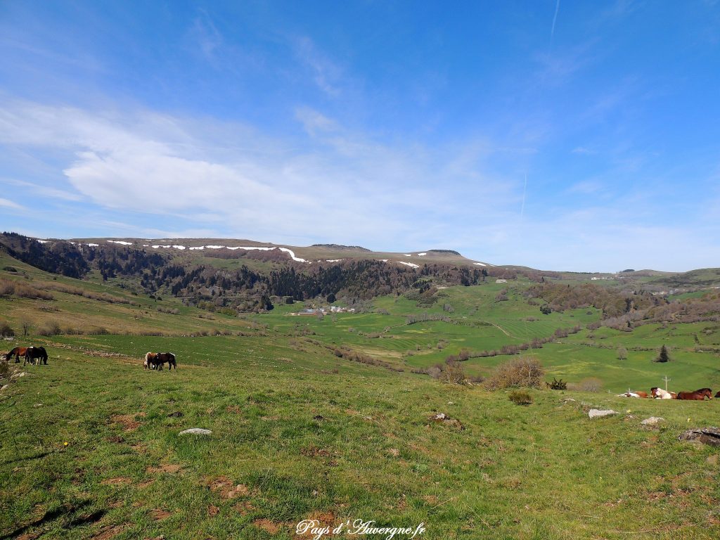 vallée de l'Artoux 23