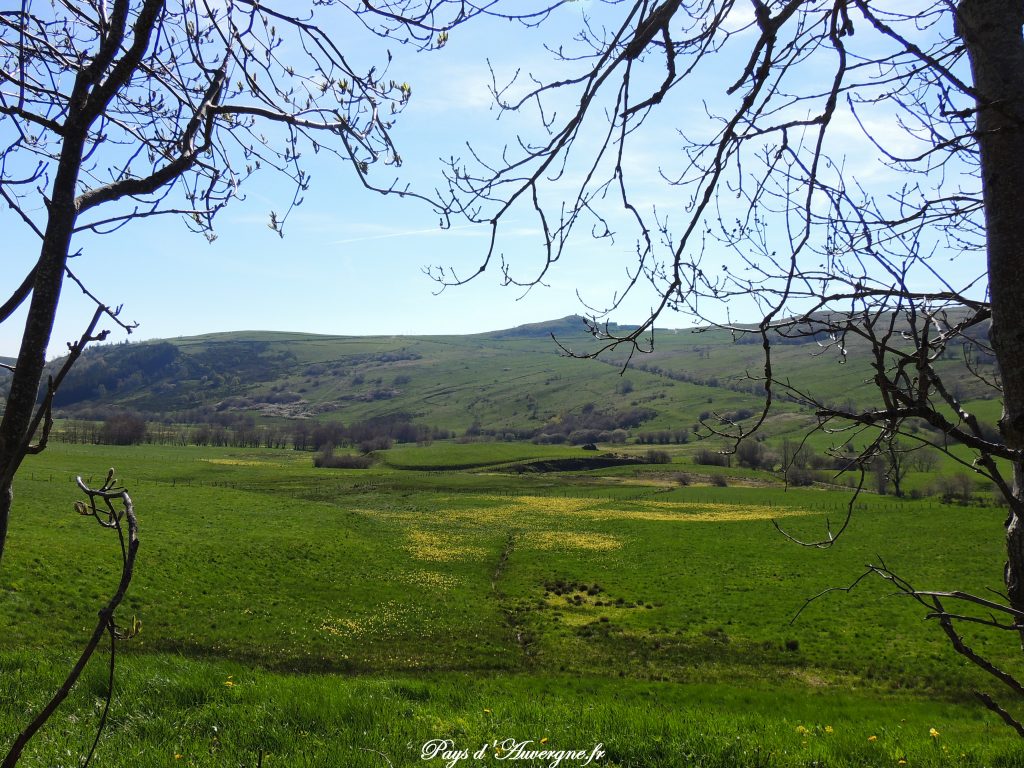 vallée de l'Artoux 5