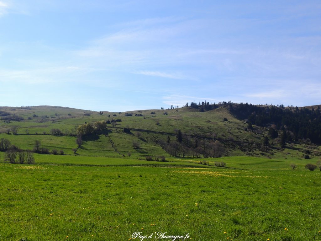 vallée de l'Artoux 6