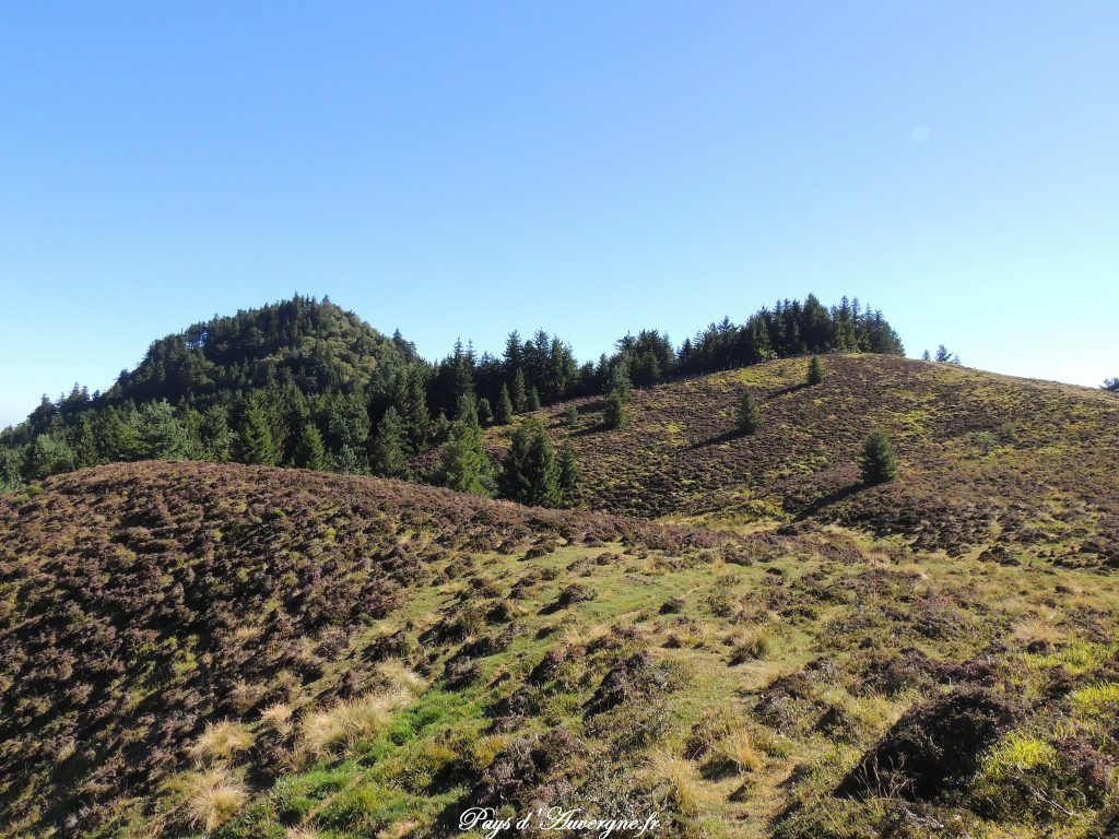 puy-des-gouttes-10