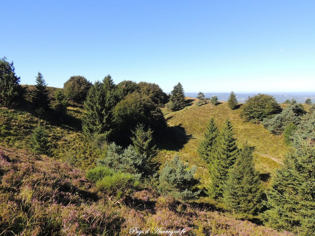 puy-des-gouttes-12