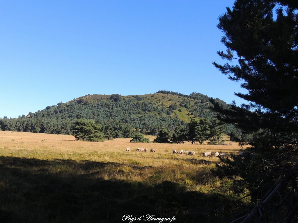 puy-des-gouttes-2