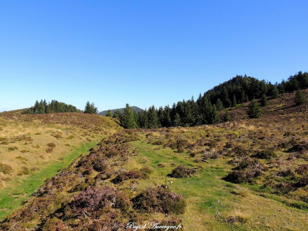 puy-des-gouttes-7