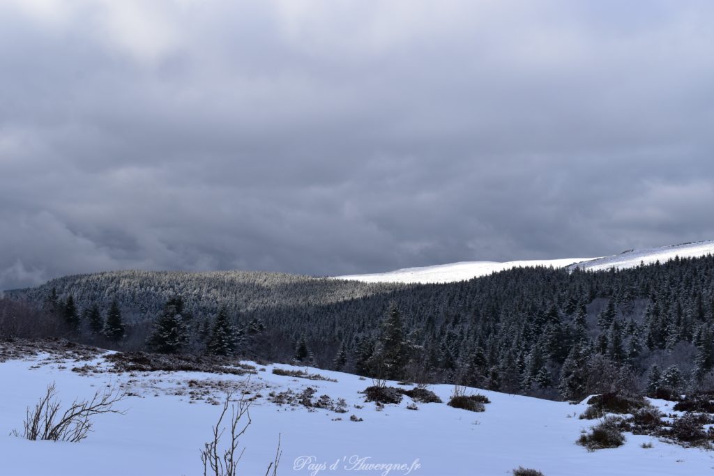 la tour d'auvergne famille